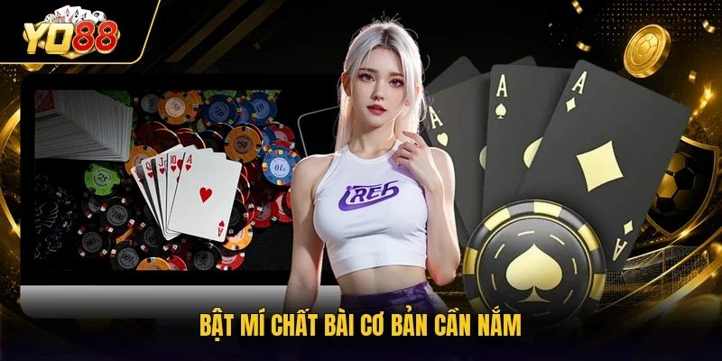 Bật mí chất bài cơ bản cần nắm