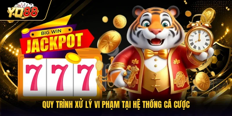Quy trình xử lý vi phạm tại hệ thống cá cược